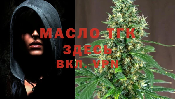 мдма Ельня