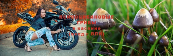 прущая мука Елизово