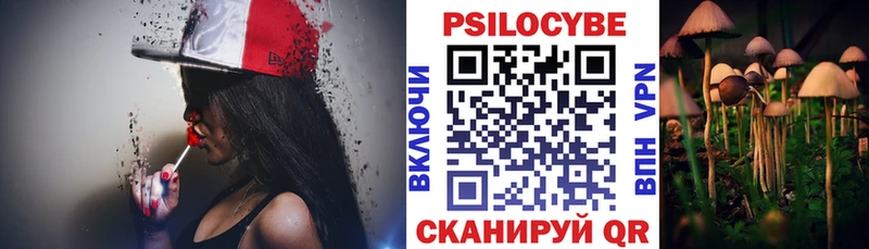 Купить где  Сыктывкар  Галлюциногенные грибы мицелий 